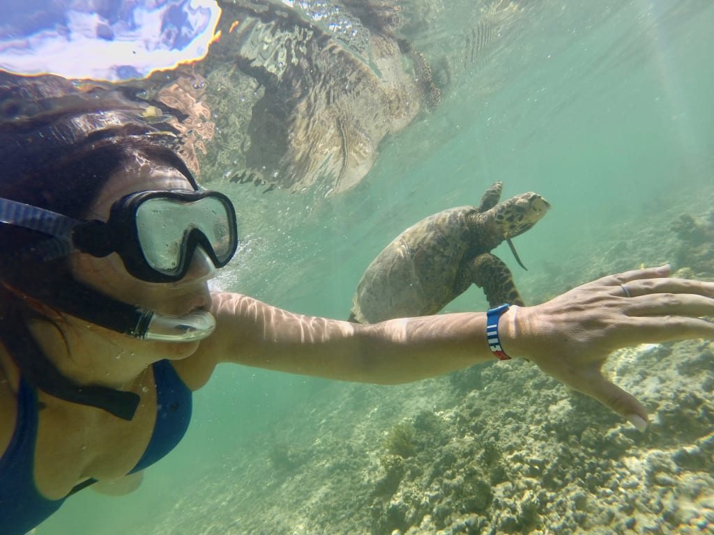 Seychelles Viaggiamondo